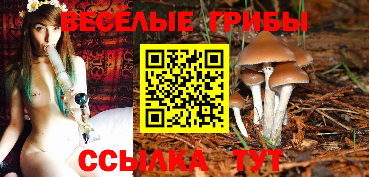 Галлюциногенные грибы MAGIC MUSHROOMS  что такое   Новотроицк  Вход с VPN 